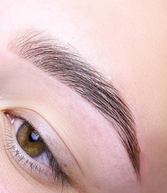 tinting service in Brooklyn, NY